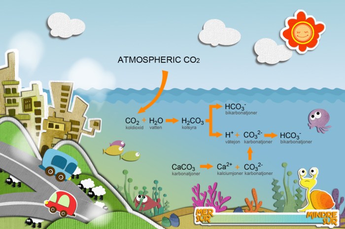 Ocean acidification lab answer key