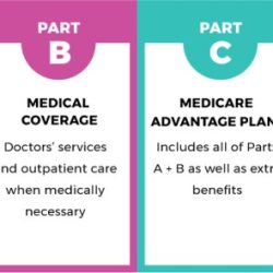 Mr. white has medicare parts a and b