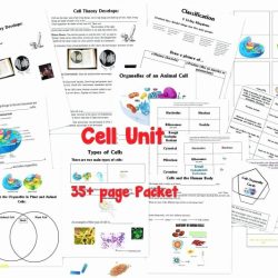 Cells and their organelles worksheet