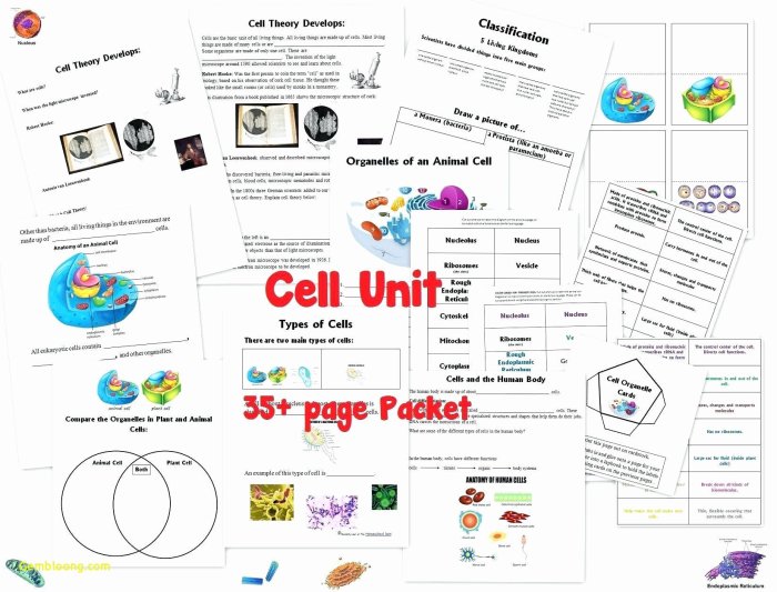 Cells and their organelles worksheet