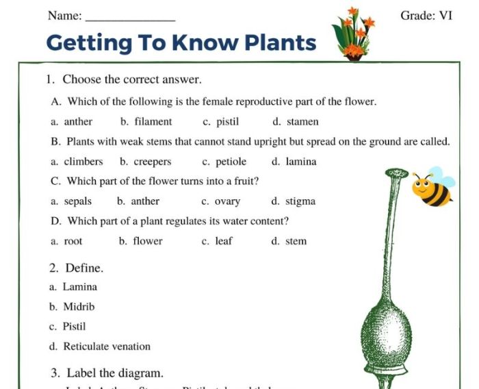 Getting to know your atlas answer key