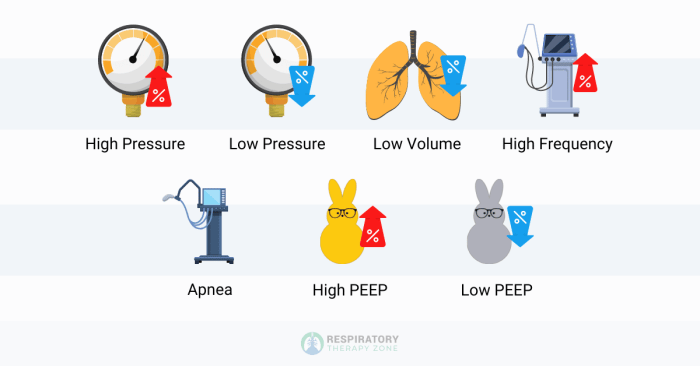 Ventilator low pressure alarm causes