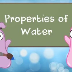 Amoeba sisters video select recap properties of water