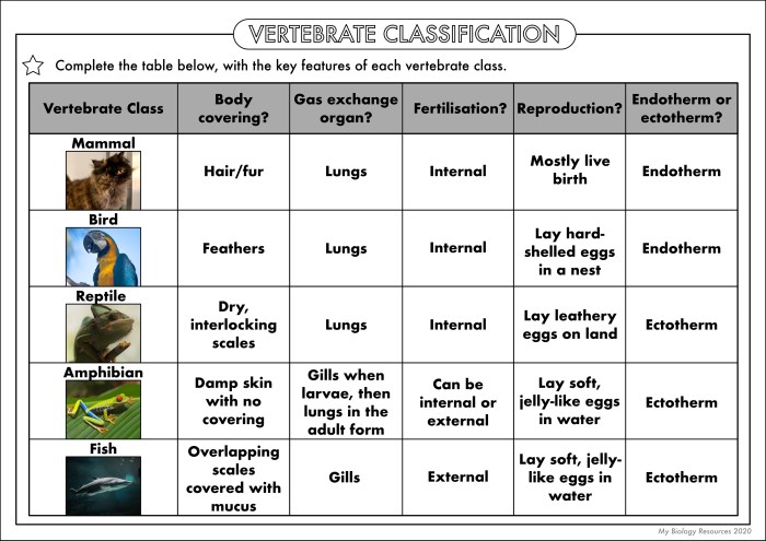 Biological evolution and classification answer key