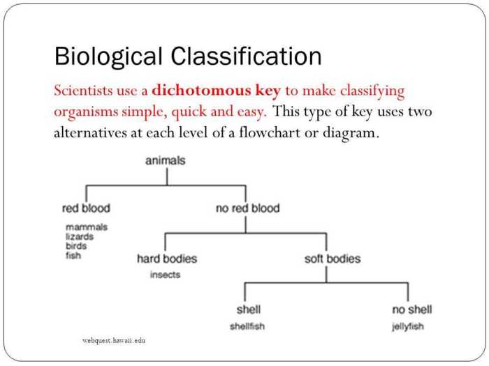 Biological evolution and classification answer key