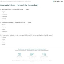 Body planes and anatomical directions worksheet answer key pdf